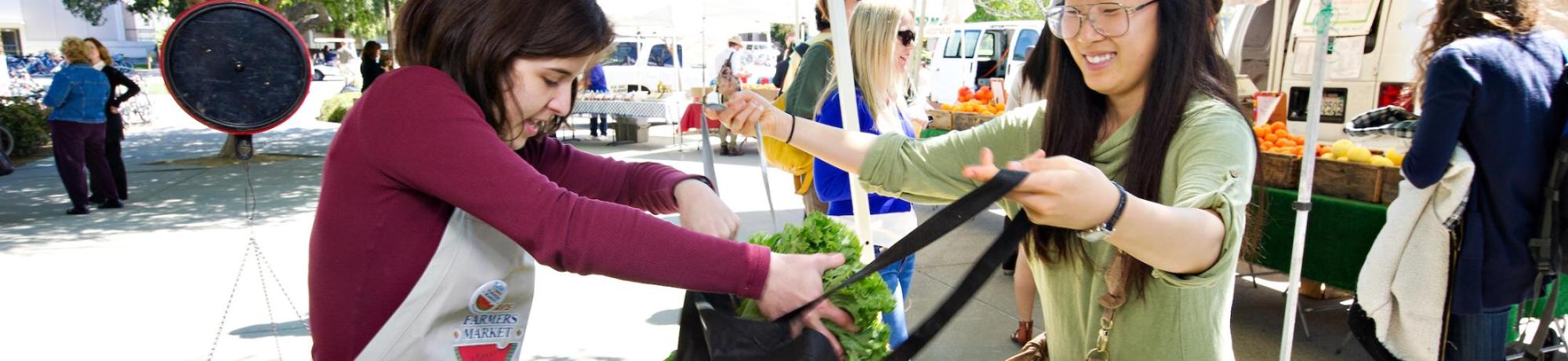 A student loads up a bag with fresh produce from the student farm at the UC Davis Farmer's Market